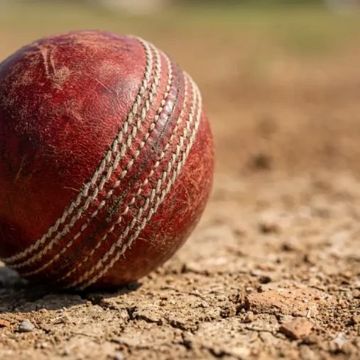 Sharjah Cricket Stadium Pitch Report